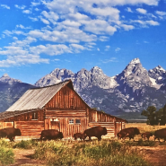 Yellowstone & the Wild West | August 9 – 15, 2024